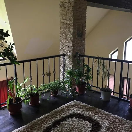 Vila Melisa Rasvadu de Sus